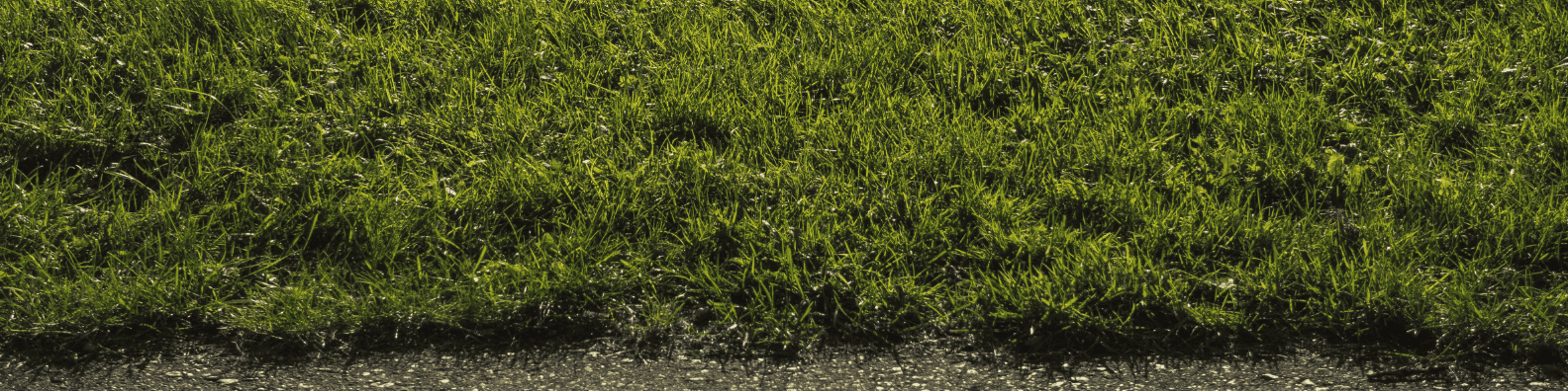 What can the soil tell us about safe CO₂ storage?